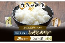 わざヒカリ20kg(5kg×4)セット 五ﾂ星お米マイスターが吟味したお米! 鹿児島 米　HSR-604