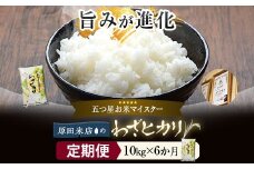 【6ｶ月定期便】 わざヒカリ 米 10kg(5kg×2) KSR-603