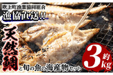 No.031 海産物セット 天然鯛！タイと旬の魚の干物・旬の魚の竜田揚げの素セット(干物6尾以上・竜田揚げの素1袋・計約3.0kg)干物 竜田揚げ タイ 鯛 たい 魚貝類 魚 海産物 セット 冷凍 真空パック 詰め合わせ【吹上町漁協】【317】