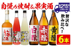 No.111  焼酎・果実酒飲み比べセット(計6本) 焼酎 梅酒 酒 麦焼酎 芋焼酎 黄猿 赤猿 白猿 果実酒 梅 ゆず すもも アルコール 飲み比べ セット リキュール 薩摩 鹿児島 常温 常温保存【小正醸造】
