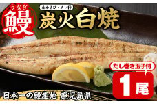 No.309 鹿児島県産うなぎの炭火白焼(1尾・生わさびとタレ付)と自慢の出汁巻き卵1本付！ 国産 九州産 鰻 ウナギ うな重 うな丼 白焼き 卵焼き 出汁巻き 出汁巻きたまご おかず 特産品 お土産 セット冷凍【家むら】
