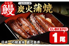 No.310 鹿児島県産うなぎの炭火蒲焼(1尾・タレ付)と自慢の出汁巻き卵1本付！ 国産 九州産 鰻 ウナギ うな重 うな丼 蒲焼 卵焼き 出汁巻き 出汁巻きたまご 炭火焼 おかず 特産品 お土産 セット冷凍【家むら】
