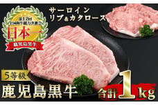 No.347 ＜肉質等級5等級＞(E-301)鹿児島黒牛サーロインステーキ2枚・すきやきセット(計1kg)国産 九州産 牛肉 黒牛 黒毛和牛 和牛 ステーキ スライス サーロイン リブロース 肩ロース カタ すき焼き しゃぶしゃぶ【さつま日置農協】