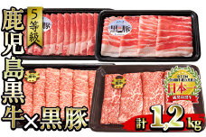 No.350 ＜肉質等級5等級＞(A-1501)鹿児島黒牛と鹿児島黒豚のしゃぶしゃぶセット(合計1.2kg)国産 九州産 牛肉 黒牛 黒毛和牛 和牛 黒豚 豚肉 スライス  肩ロース カタ ウデ肉 バラ肉 すき焼き しゃぶしゃぶ 冷凍【さつま日置農協】