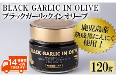 No.367 ＜BLACK GARLIC IN OLIVE＞ブラックガーリックインオリーブ(120g×1本・固形60g) ニンニク にんにく 黒にんにく 油 オリーブ 調味料【鹿児島オリーブ】