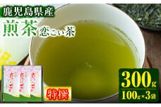 No.407 ＜鹿児島県産＞特撰煎茶(100g×3袋セット 計300g) 国産 九州産 お茶 緑茶 煎茶 茶葉 日本茶 【末永(清)製茶】
