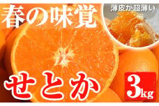 No.211 ＜先行予約受付中！2025年2月20日～3月31日までの間に発送＞みかんの大トロ！幻の柑橘「せとか」(約3kg)みかん ミカン 柑橘 せとか 青果 果実 鹿児島 常温 常温保存【黒川農園】