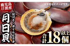 No.446 《期間・数量限定！》江口浜の月日貝セット！殻付き(6枚入×1P)・ボイルむき身(6～7個×2P) 鹿児島 貝 つきひがい ツキヒガイ 魚介 国産 フライ 天ぷら バター焼き【江口漁業協同組合】