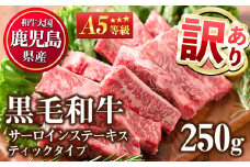 No.506-01 ＜訳あり・在庫過多＞A5等級！鹿児島県産黒毛和牛サーロインステーキスティックタイプ(250g)国産 九州産 牛肉 黒毛和牛 和牛 サーロイン ステーキ 霜降り A5 A5ランク A5等級 冷凍【カミチク】