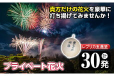 No.669 《数量限定》プライベート花火(計30発・レプリカ玉進呈)打揚場所・日時は応相談！【太洋花火】