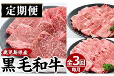 No.727 ＜定期便・全3回(連続)＞黒毛和牛の赤身牛肉コース(全3回・すき焼き、焼肉、ステーキ)国産 九州産 牛肉 黒毛和牛 和牛 赤身 ステーキ 定期便 頒布会 数量限定 すき焼き しゃぶしゃぶ 冷凍【さつま屋産業】