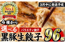 No.429-v-m03 ＜2025年3月中に発送予定＞鹿児島黒豚使用の黒豚バラエティ餃子(計96個・12個入り×2パック×4種)国産 九州産 ぎょうざ ギョウザ 冷凍 黒豚 豚肉 お肉 おかず【末永商店】