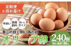 No.779 ＜定期便・全6回(連続)＞鹿児島県産美山オリーブ卵(40個×6ヶ月連続) 割れ保証付 国産 九州産 鹿児島県産 たまご タマゴ オリーブ 卵 鶏卵 生卵 おかず TKG 卵かけご飯 朝食 定期便 頒布会 数量限定【美山たまご王国】【780】