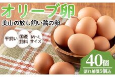 No.780 鹿児島県産美山オリーブ卵(40個) 割れ保証付 国産 九州産 鹿児島県産 たまご タマゴ オリーブ 卵 鶏卵 生卵 おかず TKG 卵かけご飯 朝食 数量限定【美山たまご王国】【779】