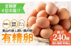 No.781 ＜定期便・全6回(連続)＞鹿児島県産有精卵(40個×6ヶ月連続) 割れ保証付 国産 九州産 鹿児島県産 たまご タマゴ 有精卵 卵 鶏卵 生卵 おかず TKG 卵かけご飯 朝食 定期便 頒布会 数量限定【美山たまご王国】【782】