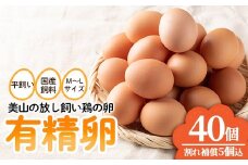 No.782 鹿児島県産有精卵(40個) 割れ保証付 国産 九州産 鹿児島県産 たまご タマゴ 有精卵 卵 鶏卵 生卵 おかず TKG 卵かけご飯 朝食 数量限定【美山たまご王国】【781】