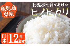 No.775 《令和6年産！》鹿児島県産！ヒノヒカリ白米(12kg) 鹿児島県産 米 お米 白米 ごはん ヒノヒカリ 小分け【大潟屋】【775】【774】