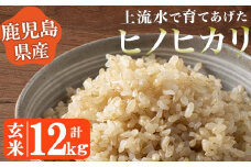No.777 《令和6年産！》鹿児島県産！ヒノヒカリ玄米(12kg) 鹿児島県産 米 お米 玄米 ごはん ヒノヒカリ 小分け【大潟屋】【777】【776】