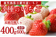 No.778 ＜先行予約受付中！＞3品種いちごの食べ比べセット(約400g～600g)国産 九州産 鹿児島 日置市 生鮮食品 苺 イチゴ 白苺 赤苺 果物 くだもの フルーツ 大粒 食べ比べ 詰め合わせ パック 【ままりあ農園】