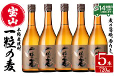 No.912 一粒の麦(720ml×5本) 焼酎 麦焼酎 酒 アルコール 麦 家飲み 宅飲み 大麦 大麦麹 セット 常温 常温保存【西酒造】【913】