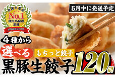 No.429-m-m05 ＜2025年5月中に発送予定＞鹿児島黒豚使用の黒豚もちっと餃子(計120個・15個入り×8パック)国産 九州産 ぎょうざ ギョウザ 冷凍 黒豚 豚肉 お肉 おかず【末永商店】