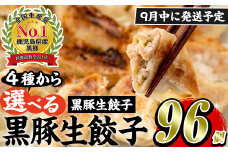 No.429-n-m09 ＜2025年9月中に発送予定＞鹿児島黒豚使用の黒豚生餃子(計96個・12個入り×8パック)国産 九州産 ぎょうざ ギョウザ 冷凍 黒豚 豚肉 お肉 おかず【末永商店】