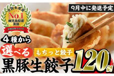 No.429-m-m09 ＜2025年9月中に発送予定＞鹿児島黒豚使用の黒豚もちっと餃子(計120個・15個入り×8パック)国産 九州産 ぎょうざ ギョウザ 冷凍 黒豚 豚肉 お肉 おかず【末永商店】