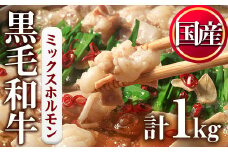 No.1001-01 黒毛和牛ミックスホルモン(計1kg)【カミチク】