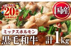 No.1001-01 黒毛和牛ミックスホルモン(計1kg)【カミチク】
