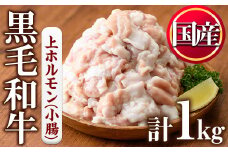 No.1001-02 黒毛和牛上ホルモン(計1kg)【カミチク】
