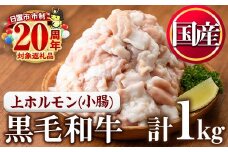 No.1001-02 黒毛和牛上ホルモン(計1kg)【カミチク】
