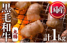 No.1001-03 黒毛和牛丸腸(計1kg)【カミチク】