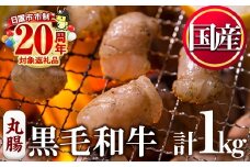 No.1001-03 黒毛和牛丸腸(計1kg)【カミチク】