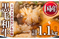 No.1001-04 国産黒毛和牛ミックスホルモン、上ホルモン(合計1.1kg)【カミチク】