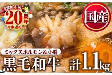 No.1001-04 国産黒毛和牛ミックスホルモン、上ホルモン(合計1.1kg) 寄附額改定【カミチク】