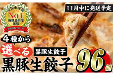 No.429-n-m11 ＜2025年11月中に発送予定＞鹿児島黒豚使用の黒豚生餃子(計96個・12個入り×8パック)国産 九州産 ぎょうざ ギョウザ 冷凍 黒豚 豚肉 お肉 おかず【末永商店】