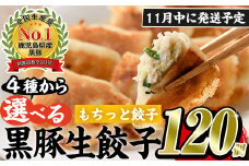 No.429-m-m11 ＜2025年11月中に発送予定＞鹿児島黒豚使用の黒豚もちっと餃子(計120個・15個入り×8パック)国産 九州産 ぎょうざ ギョウザ 冷凍 黒豚 豚肉 お肉 おかず【末永商店】