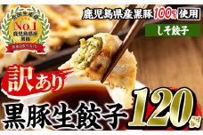 No.1009w-s ＜訳あり＞数量・期間限定！鹿児島黒豚使用のしそ餃子(計120個・12個入り×10パック) 国産 九州産 ぎょうざ ギョウザ 冷凍 紫蘇 黒豚 豚肉 お肉 おかず【末永商店】