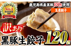 No.1009w-g ＜訳あり＞数量・期間限定！鹿児島黒豚使用の生姜餃子(計120個・12個入り×10パック) 国産 九州産 ぎょうざ ギョウザ 冷凍 ショウガ 黒豚 豚肉 お肉 おかず【末永商店】