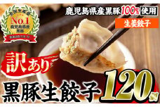 No.1009w-g ＜訳あり＞数量・期間限定！鹿児島黒豚使用の生姜餃子(計120個・12個入り×10パック) 国産 九州産 ぎょうざ ギョウザ 冷凍 ショウガ 黒豚 豚肉 お肉 おかず【末永商店】