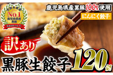 No.1009w-n ＜訳あり＞数量・期間限定！鹿児島黒豚使用のにんにく餃子(計120個・12個入り×10パック) 国産 九州産 ぎょうざ ギョウザ 冷凍 ニンニク 黒豚 豚肉 お肉 おかず【末永商店】