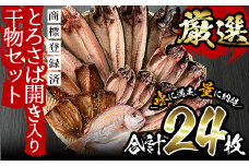 No.203-A  旬の厳選！干物詰合せ(計24枚) 干物 あじ アジ 詰め合わせ セット 魚 魚介 魚介類 ひもの【みのだ食品】