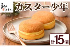 No.1048 カスター少年(15個入) 鹿児島 日置市 特産品 お菓子 洋菓子 菓子 おかし スイーツ おやつ  カスタード クリーム 冷凍 冷凍配送 ギフト【青山じゅあん】