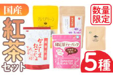No.1080 ＜数量限定＞ふるさと紅茶セット！薩摩紅茶・有機紅茶など5種飲み比べ！ 飲料 お茶 茶 ティー ティーパック 詰合せ 飲み比べ 【日置市観光協会】