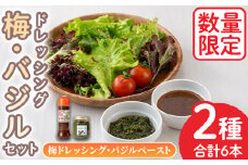 No.1084 ＜数量限定＞ドレッシングセット！梅ドレッシング(300ml×5)・バジルペースト(120g×1) 手作り サラダ パスタ お肉料理 うめ 梅肉 調味料 ピザ【日置市観光協会】