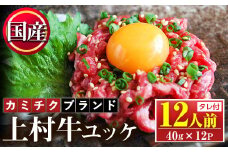 No.1100-B 自慢の自社ブランド牛「上村牛ユッケ」(12人前・40g×12P)国産 九州産 牛肉 黒毛和牛 和牛 ユッケ 生食 小分け 冷凍 ギフト 贈答 頒布会 定期便【カミチク】