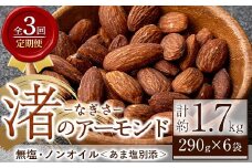 No.1035-C ＜定期便・連続3回＞渚のアーモンド(計1.74kg・290g×6袋) ナッツ おつまみ 無塩 ノンオイル 国内製造 アーモンド 常温 常温発送【末永商店】