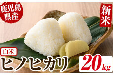 No.563-G ＜新米・令和6年産！＞国産米！鹿児島県産ヒノヒカリ白米(20kg) 国産 九州産 鹿児島県産 米 お米 おこめ  おにぎり お弁当 ご飯 ごはん 令和6年産 新米【ライスセンターひがし】
