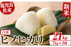 No.563-H ＜新米・令和6年産！＞国産米！鹿児島県産ヒノヒカリ白米(計21kg・7kg×3回) 国産 九州産 鹿児島県産 米 お米 おこめ 定期便 ひのひかり 白米 おにぎり お弁当 ご飯 ごはん 令和6年産 新米【ライスセンターひがし】