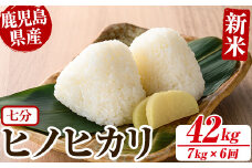No.563-K ＜新米・令和6年産！＞国産米！鹿児島県産ヒノヒカリ七分づき(計42kg・7kg×6回) 国産 九州産 鹿児島県産 米 お米 おこめ 定期便 ひのひかり 白米 七分づき おにぎり お弁当 ご飯 ごはん 令和6年産 新米【ライスセンターひがし】